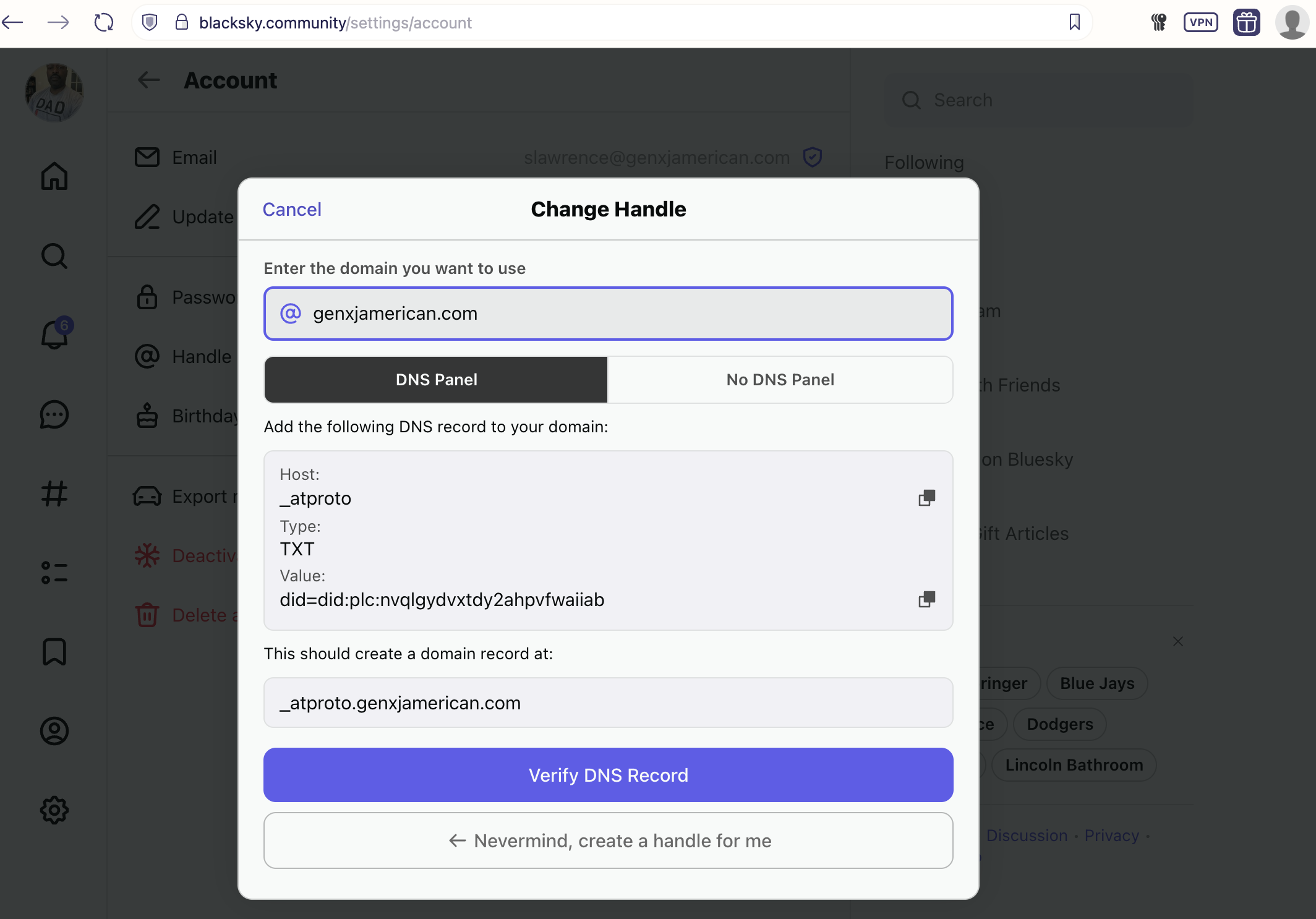 Auto-generated description: A form for changing a domain handle is displayed, with options to enter DNS information and verify a DNS record.