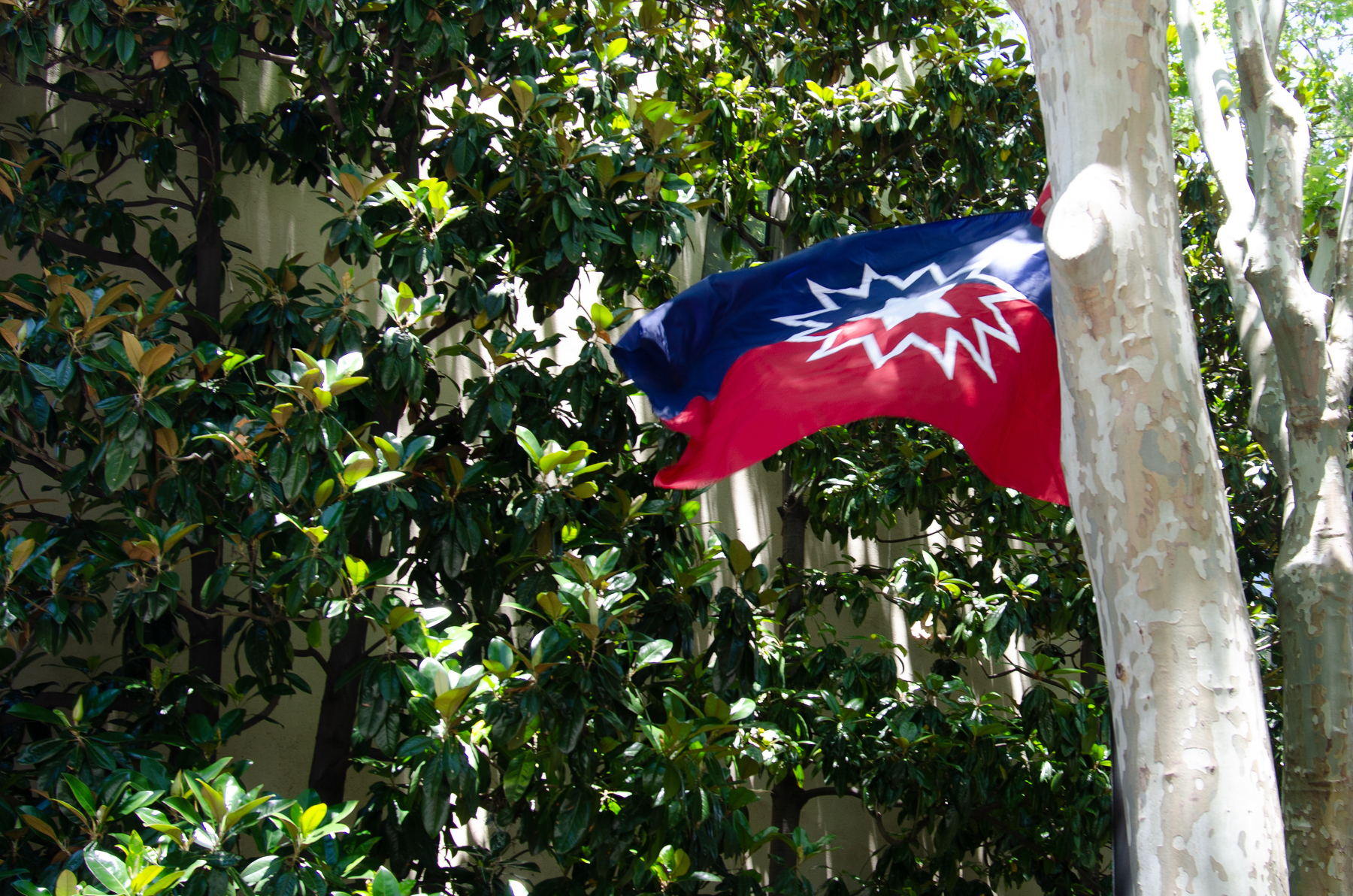 A Juneteenth flag flying in front of leafy green trees from a trip I took to Philadelphia 4 years ago. 